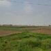 Raxaul Airport, Raxaul